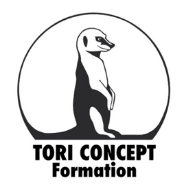 Logo TORI concept formation