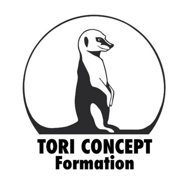 logo tori concept formation